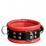 Leather Collar 6,5 cm - Red - Desireshop.nl