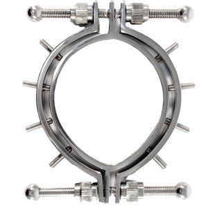 Stainless Steel Pussy Clamps With Spikes - Desireshop.nl